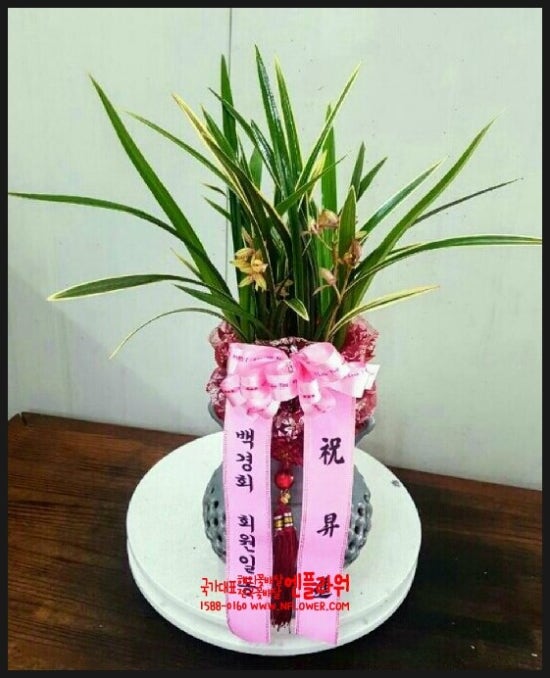 국가대표꽃배달엔플라워 이미지