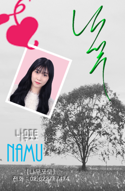 나무포토 이미지