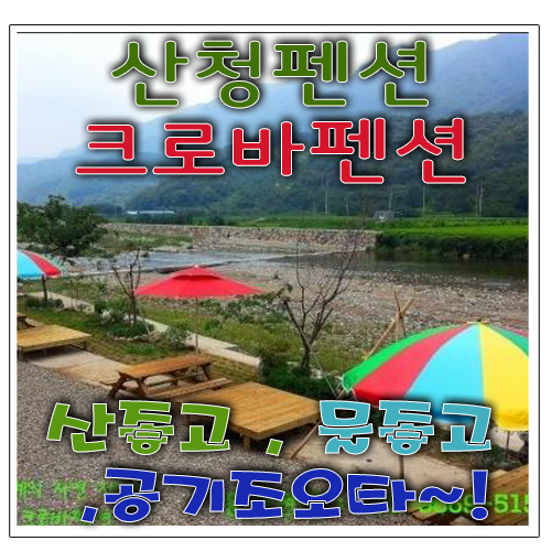 크로바펜션 이미지