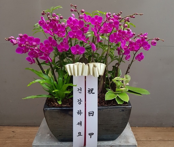 동은디씨 이미지