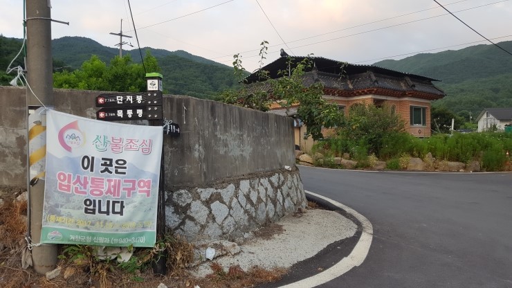 개금약초 이미지