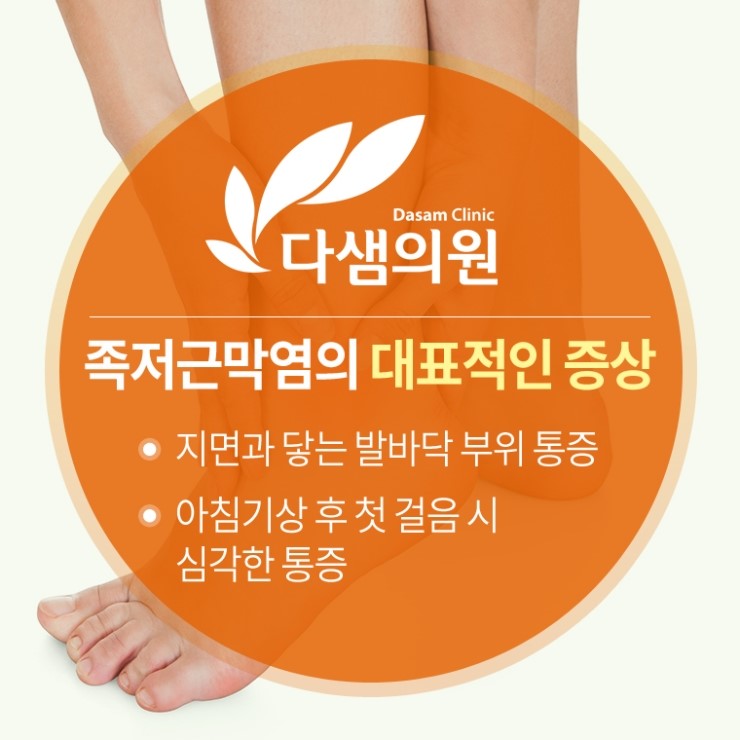 다샘 이미지