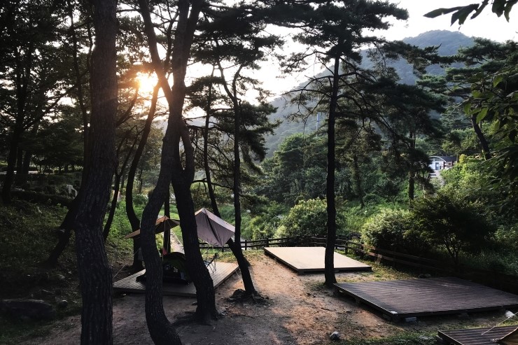 박달재자연휴양림야영장 이미지