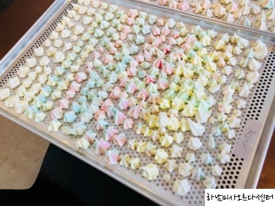 돌담체험농장 이미지