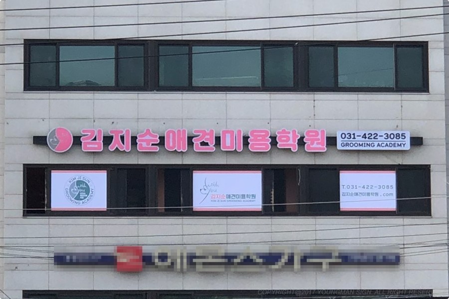 김지순애견미용학원 이미지