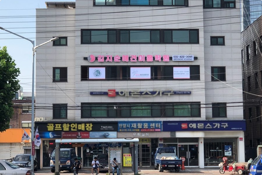 김지순애견미용학원 이미지
