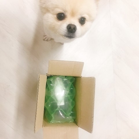 퍼리박스 이미지