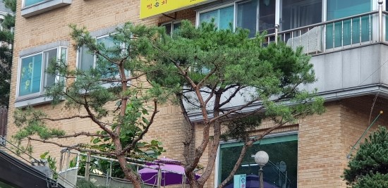 성심조경 이미지