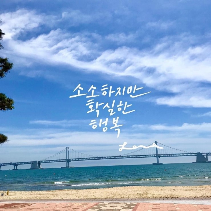 쌍용프라자 상가 이미지