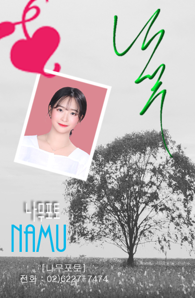 나무포토 이미지