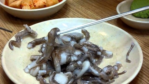 무교동빨간낙지 이미지