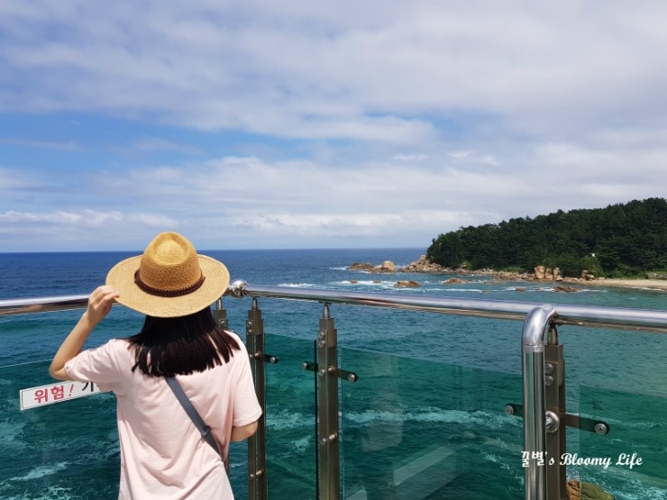 본스 커피 이미지
