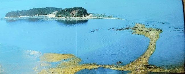 서공주JC(공주) 이미지