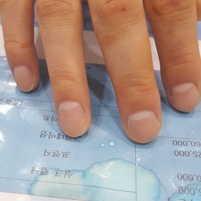 손위에꽃한잔 이미지