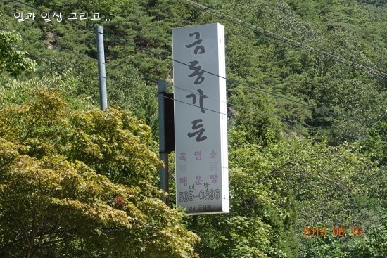 금동백숙 이미지