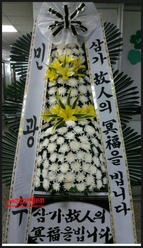국가대표꽃배달엔플라워 이미지