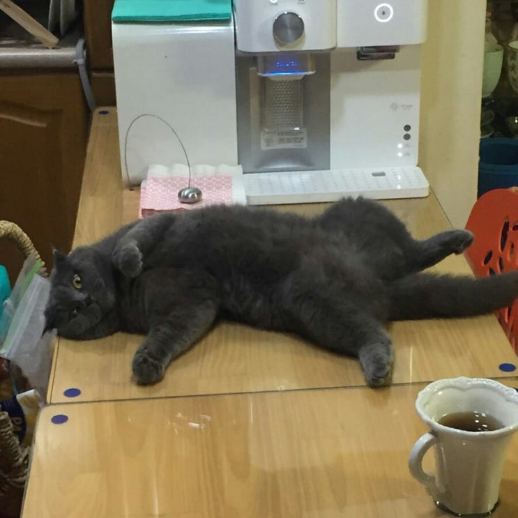 만복래반점 이미지