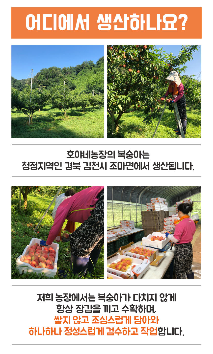 호야네농장 이미지