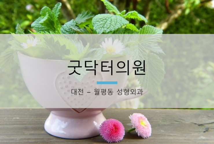 굿닥터의원 이미지