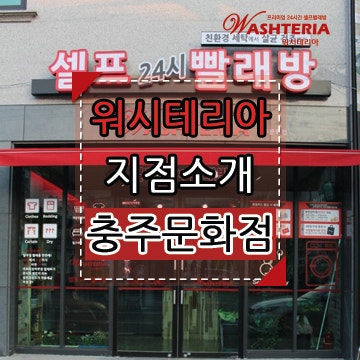 워시테리아충주 이미지