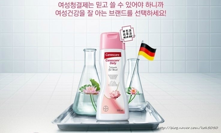 카네스 이미지