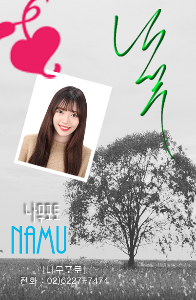 나무포토 이미지