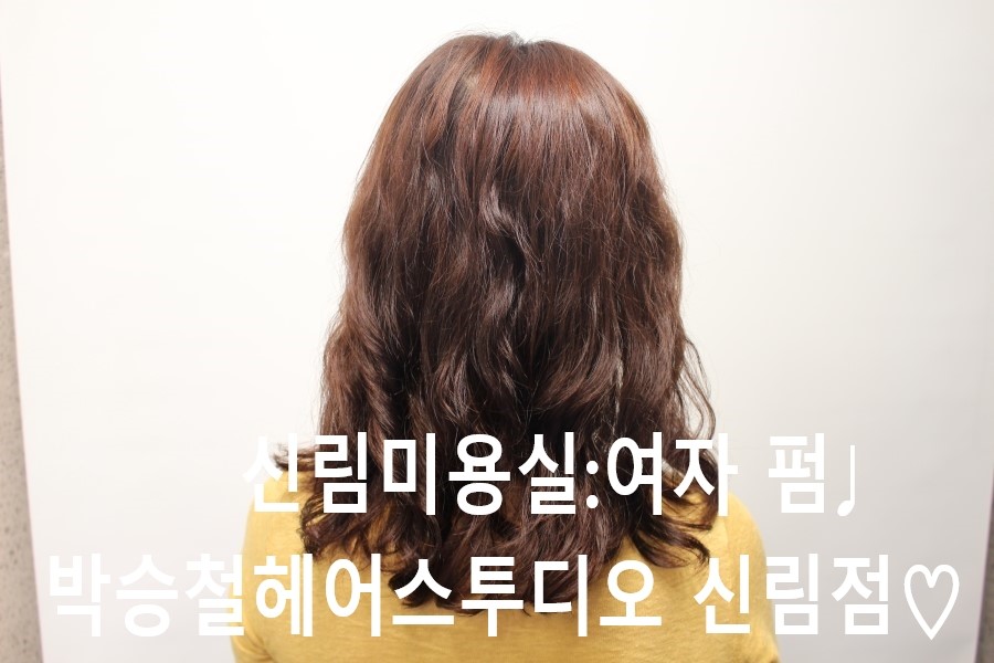 헤어박스타일리스트 이미지