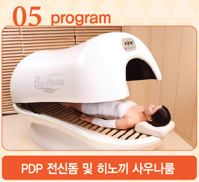 바이오포톤 이미지