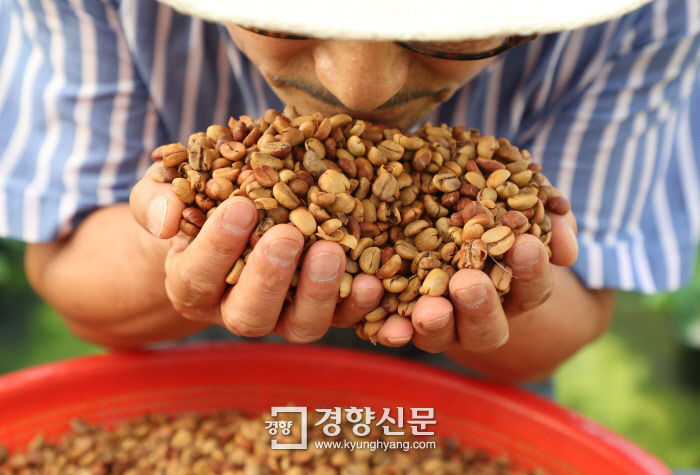 담양커피 이미지