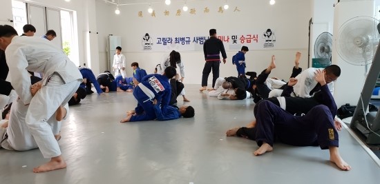 고릴라짐 이미지