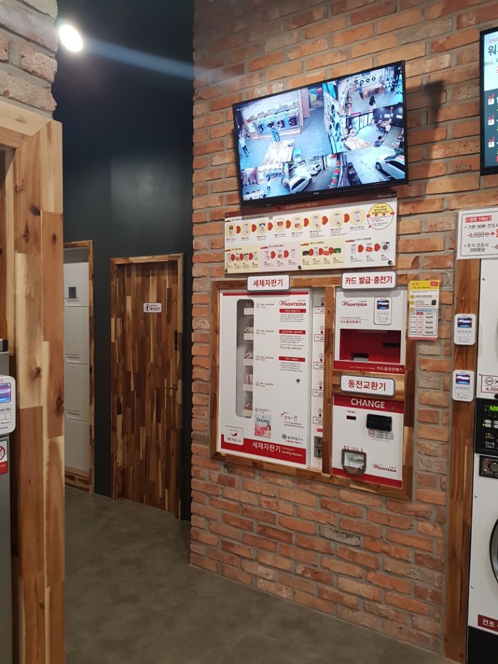 워시테리아아중점 이미지