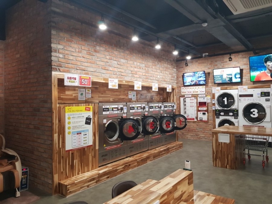 워시테리아아중점 이미지