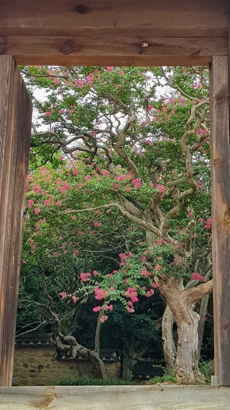 (주)사람과풍경 이미지