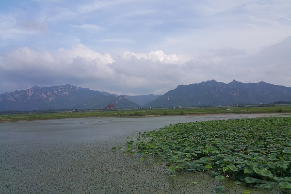 모정민박 이미지