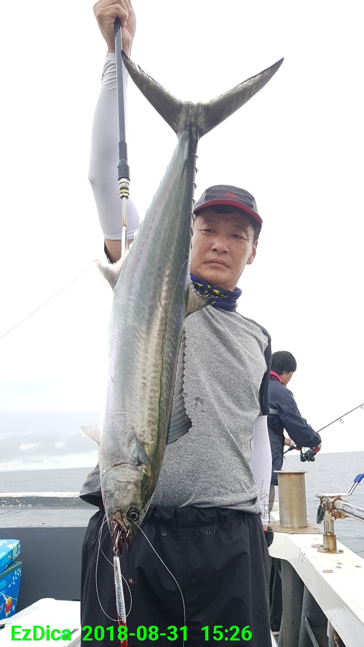 (東)동해조황 - 2일웨이브호 대삼치동시히트소리 이렇게좋을수가