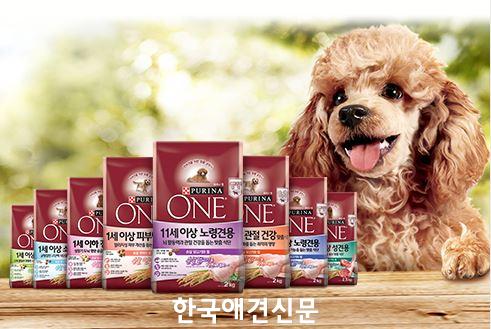 백세건강마트 이미지