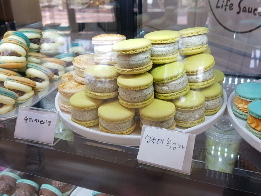 라이프소스 이미지