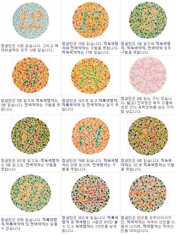내 눈이 혹시....? 색맹 색약 테스트와 색맹 색약 차이 : 네이버 블로그