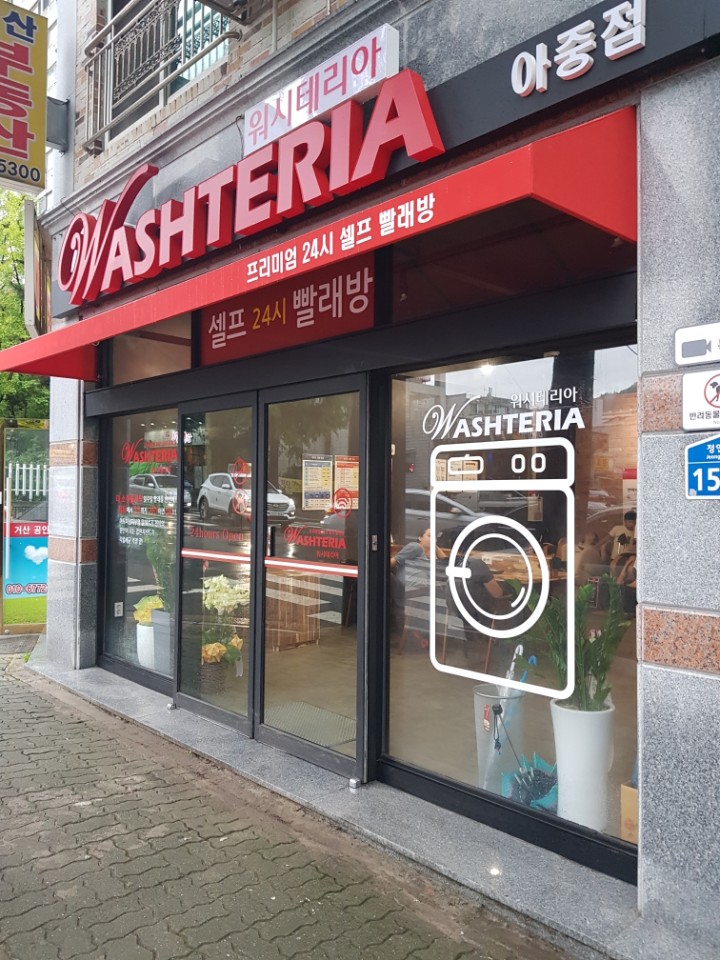 워시테리아아중점 이미지