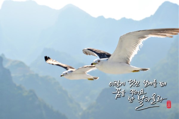 오리날다 이미지