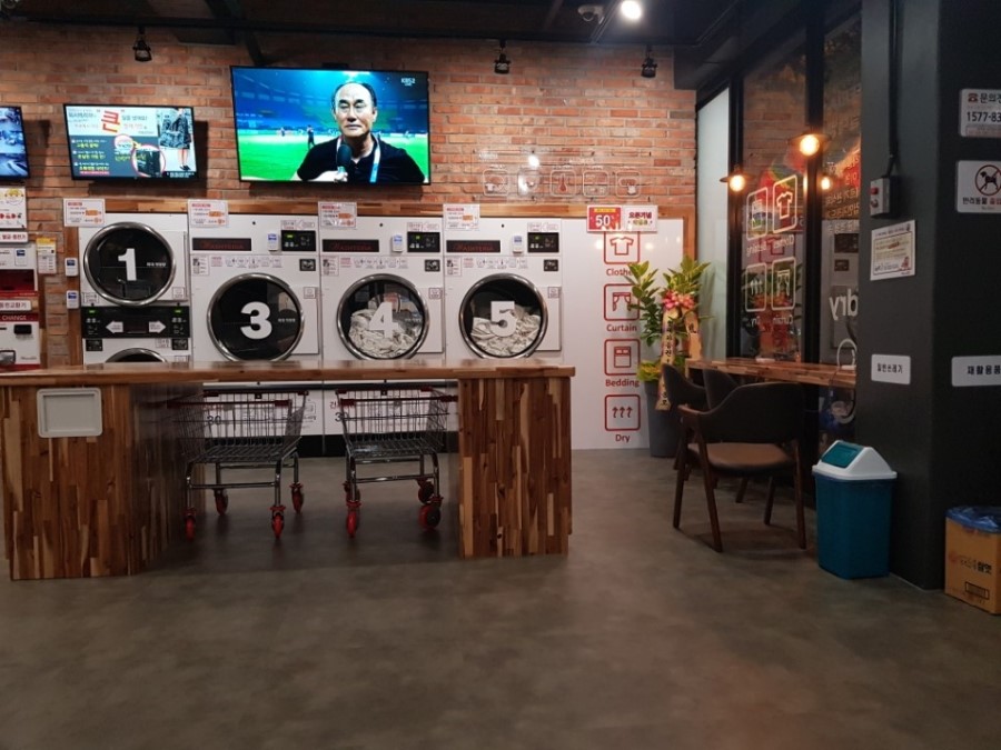 워시테리아아중점 이미지
