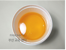 판디스 이미지