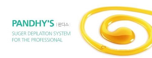 판디스 이미지