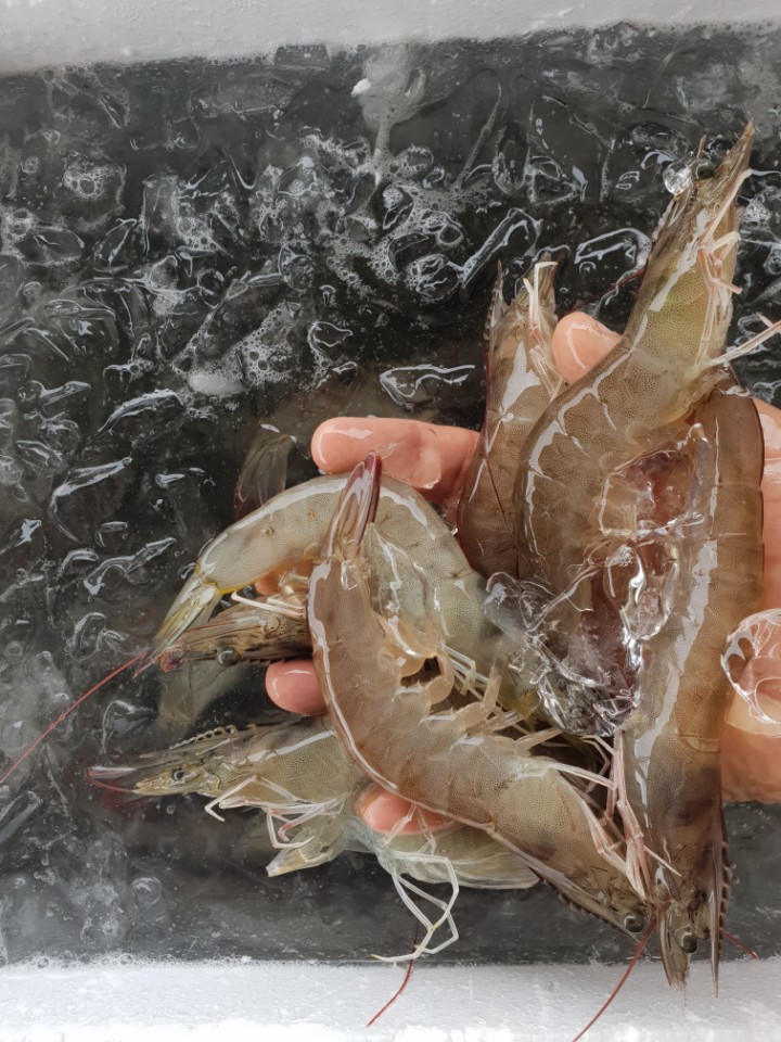 화영유통 이미지