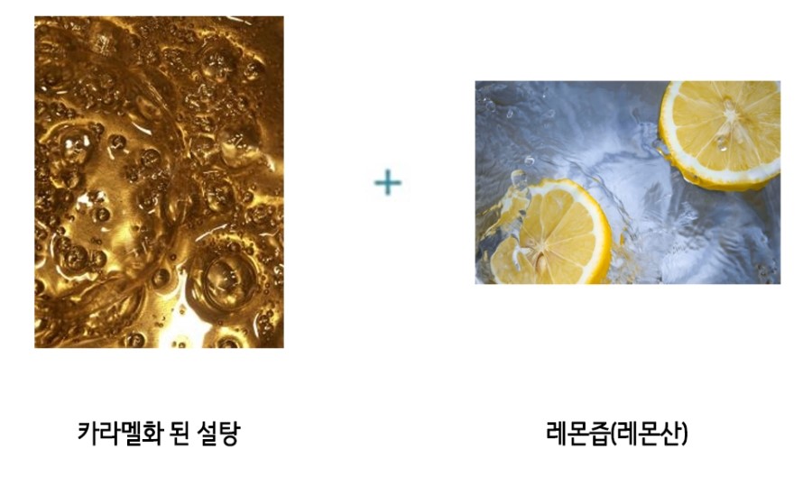 판디스 이미지