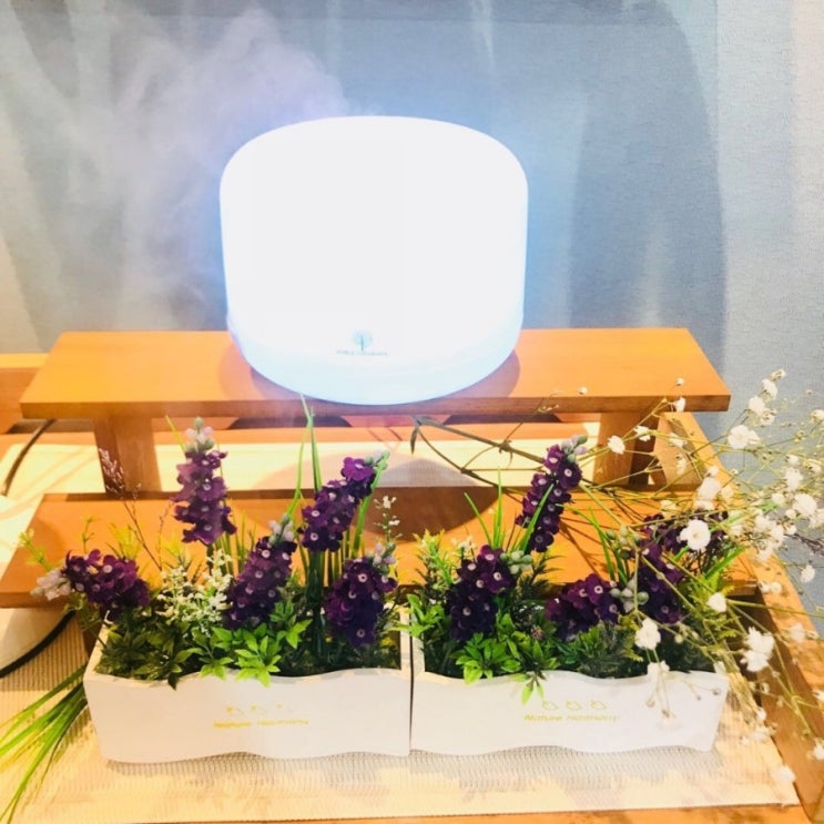 라벤다아로마 이미지