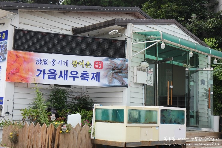 홍가네광어촌 이미지