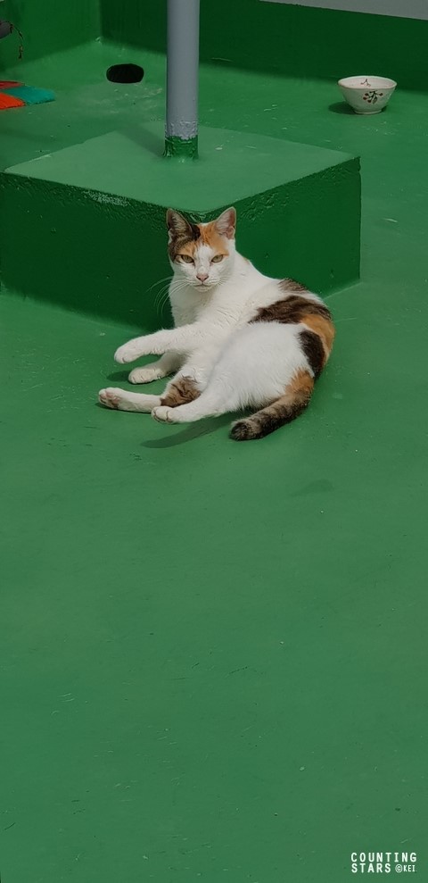 (주)오렌지씨 이미지