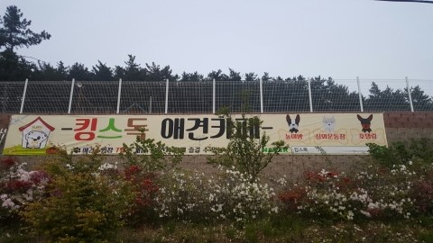 21세기광고 이미지