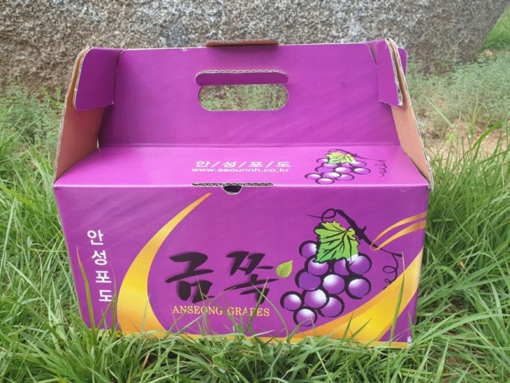안성서운포도 이미지